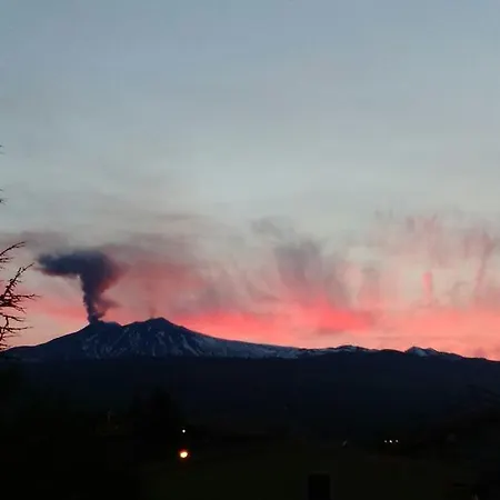 Oda ve Kahvaltı Refe 3*